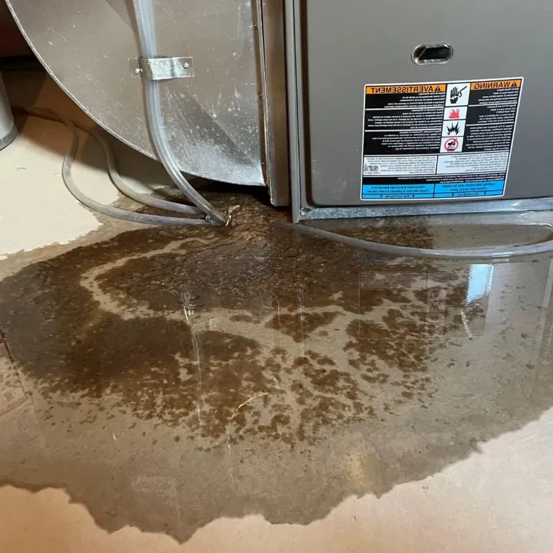 Pipe Burst and Leak Restoration in York County, VA