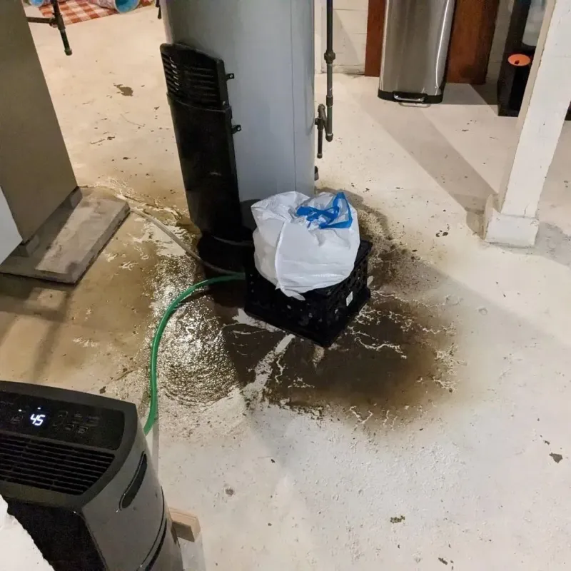 Sewage Backup Cleanup Service in York County, VA
